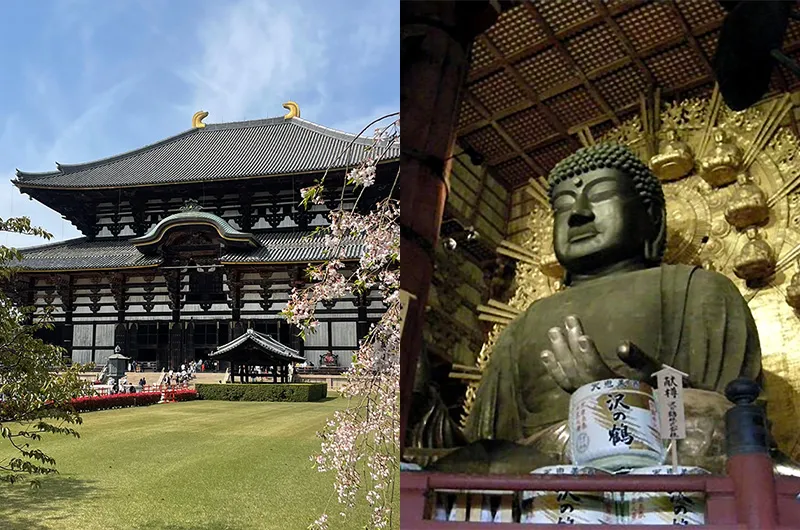 世界遺産 東大寺大仏殿