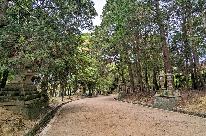 春日大社 表参道