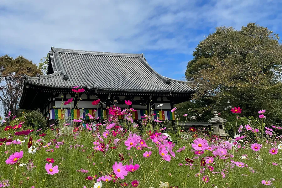 Hannyaji Temple