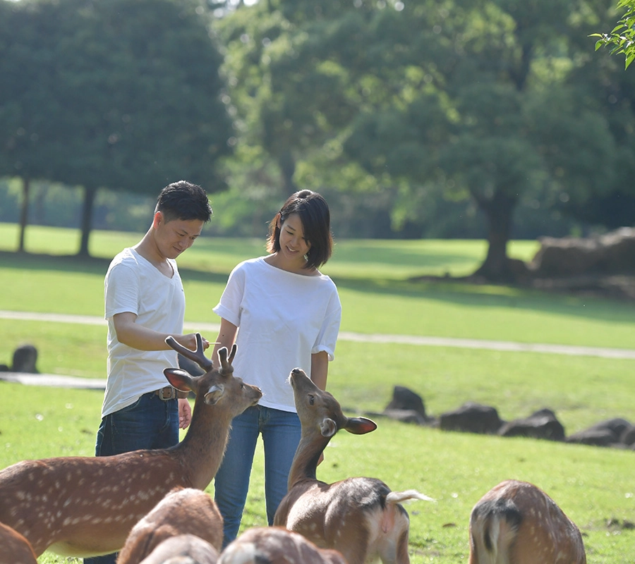 奈良公園